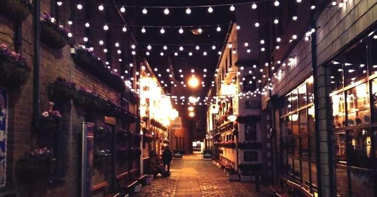 宠物行为训练中心AI智能官网解决方案