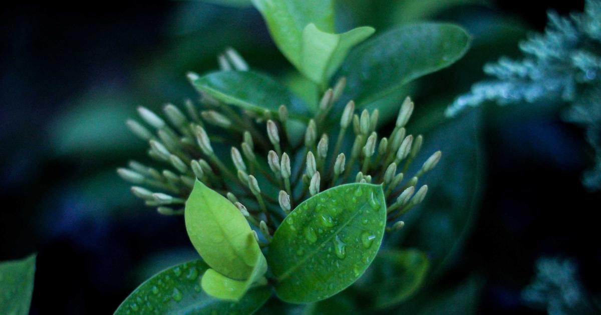 网站没人管 客户总漏接 真的太心累了？