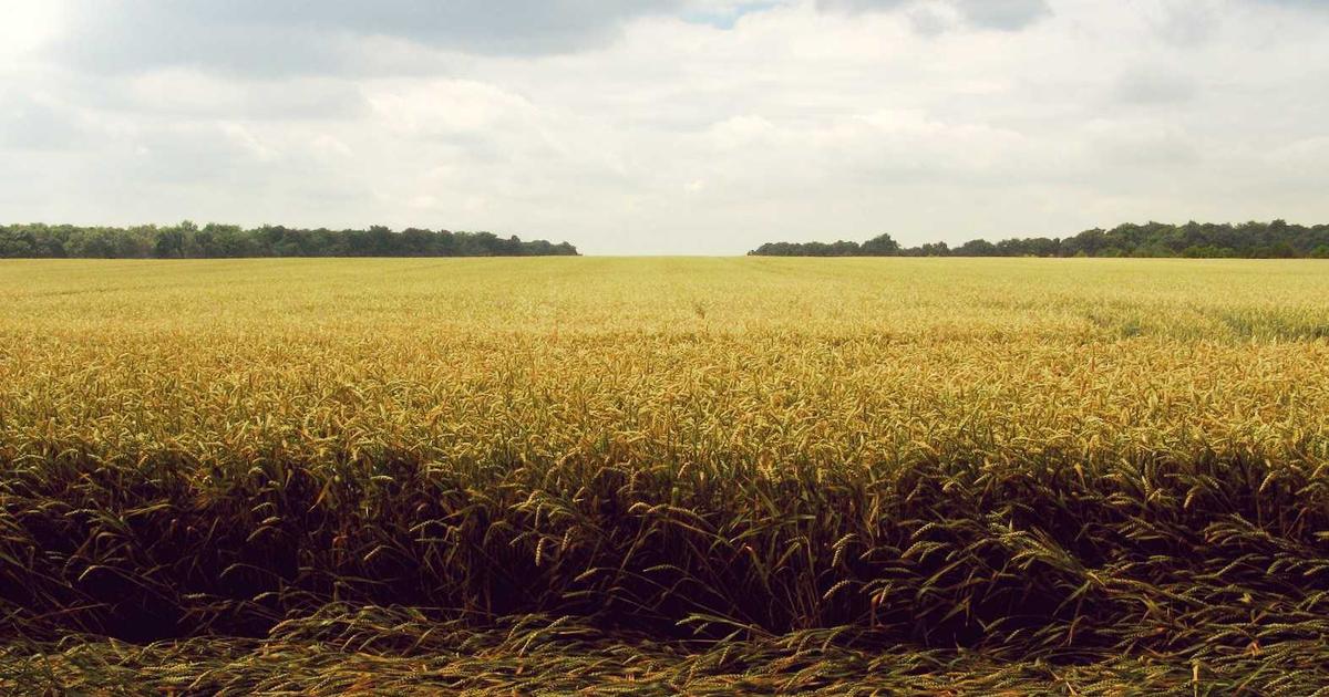 别再以为做个网站就完事了 没人管 没人聊 等于白做！