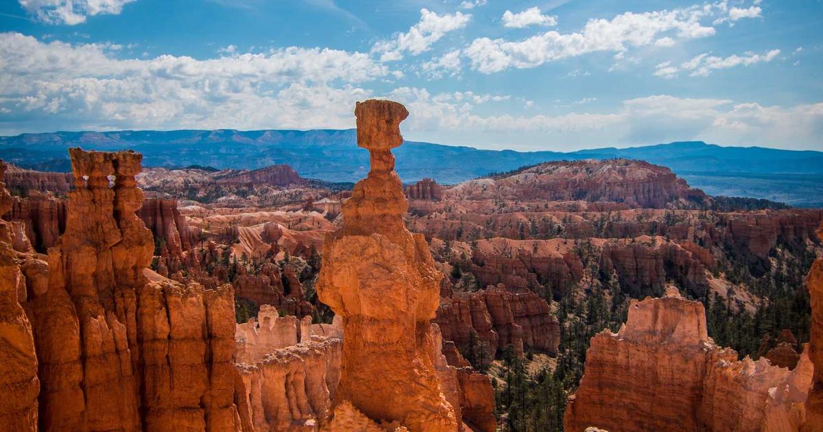 我那网站就是个摆设 没人管就废！你还在用传统网站？