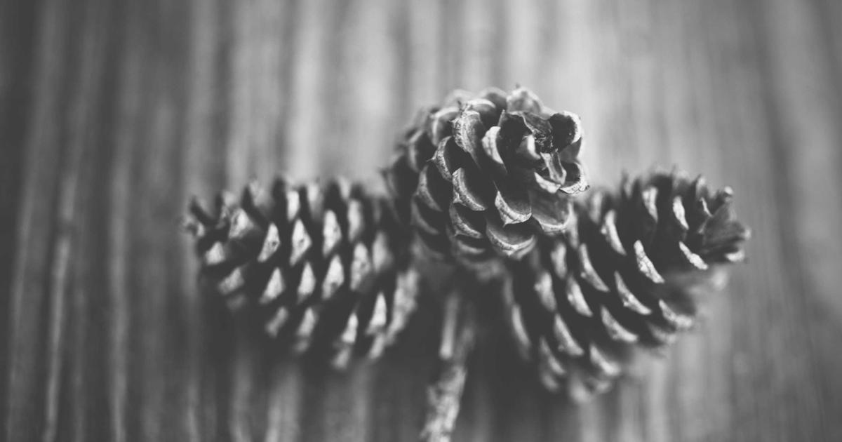 时尚配饰跨境电商AI独立站解决方案