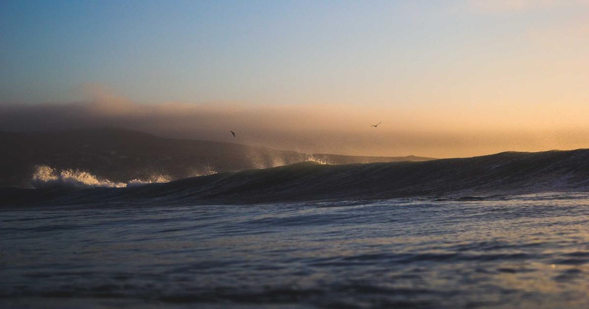 靶点筛选革命：人工智能图谱技术正重塑全球药物研发决策路径