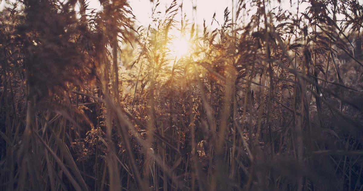 从实验室到营销场：数据可视化如何重塑2026年企业全域增长逻辑