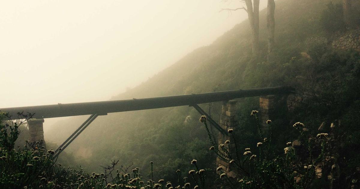 Connect global trade smarter. Meisoft AI Foreign Trade Site runs everything 24/7