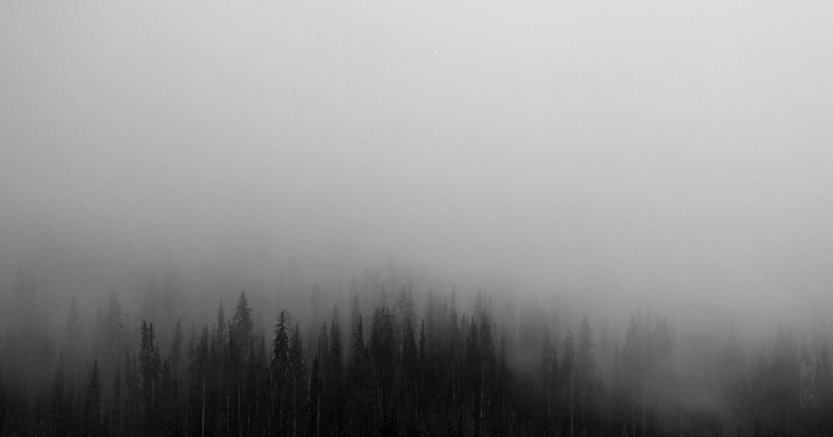 告别流量焦虑！美软AI独立站，24小时智能获客轻松上手！